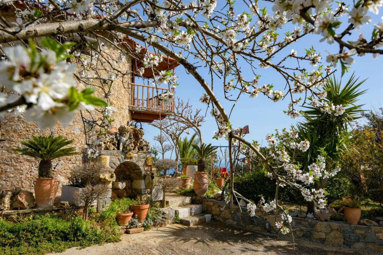 Traditional Windmill-Milos Kroustas Εξωτερικό φωτογραφία