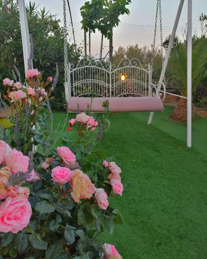 Traditional Windmill-Milos Kroustas Εξωτερικό φωτογραφία